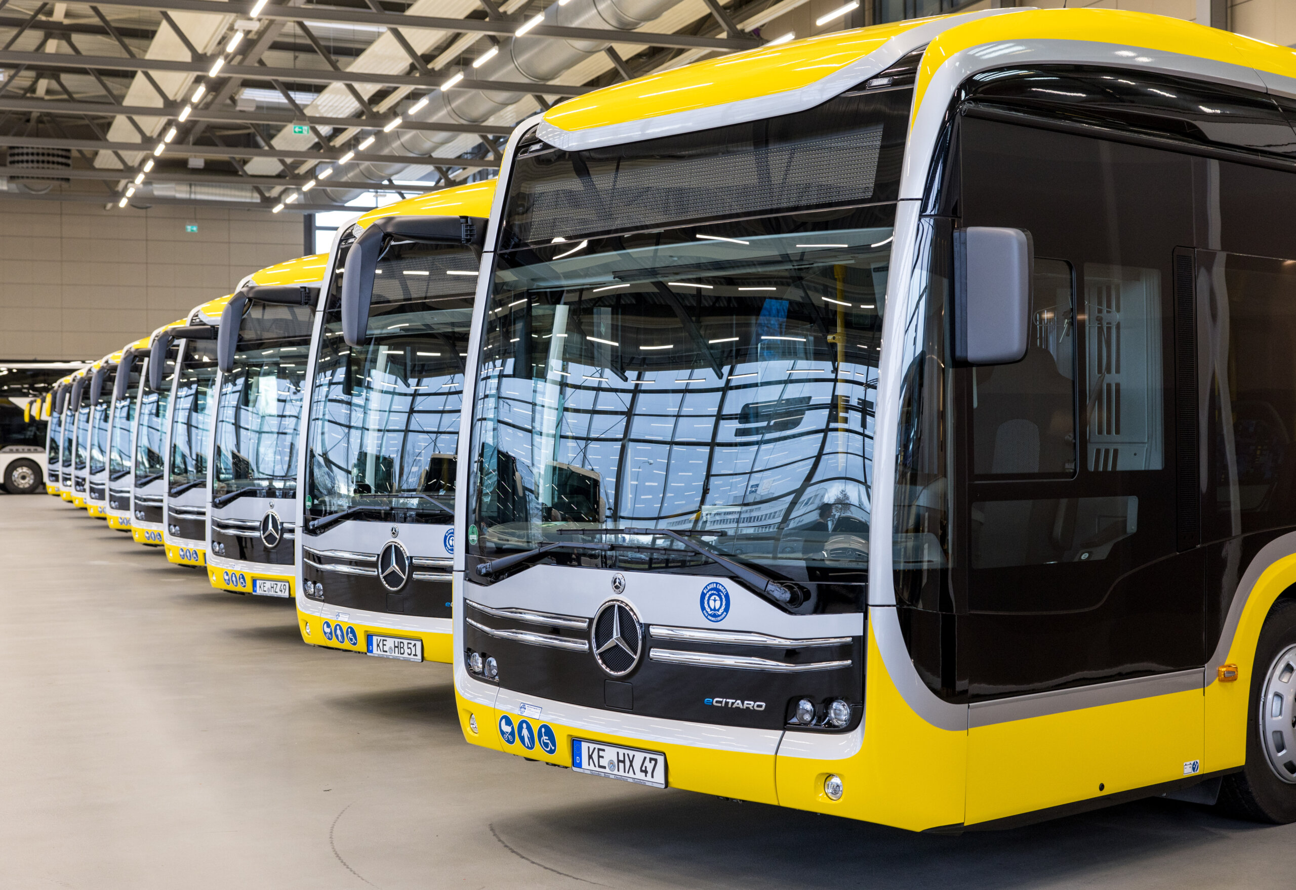 Elektrobusse der Firmen Haslach Bus und Berchtold Reisen für den Nahverkehr