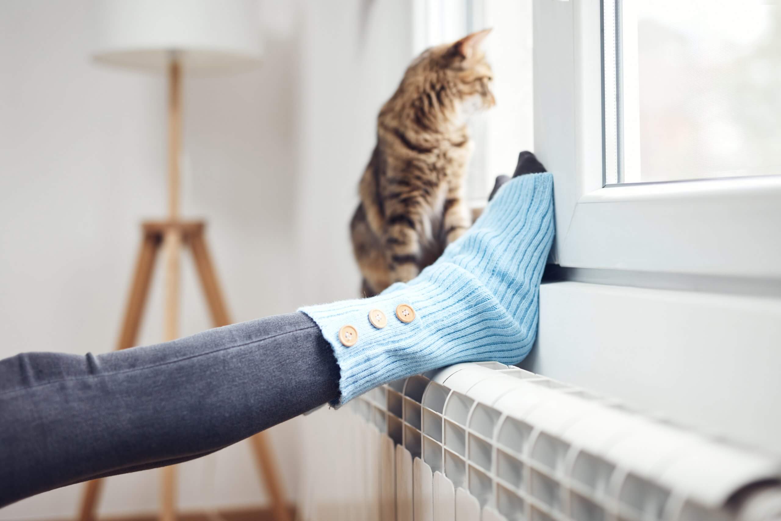 Füße in Kuschelsocken liegen auf Heizung, Katze sitzt daneben