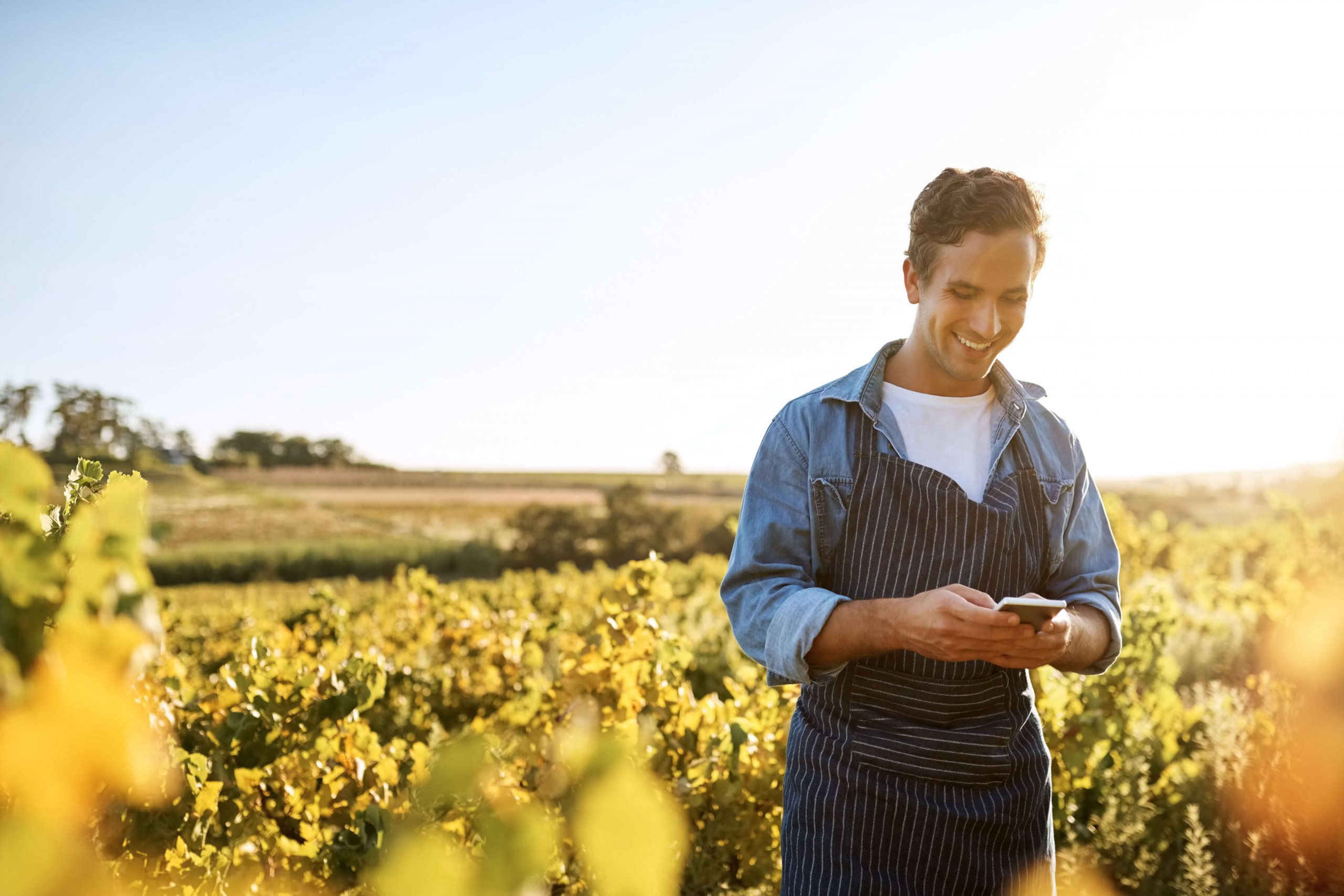 Mann auf einem Feld mit Handy in der Hand