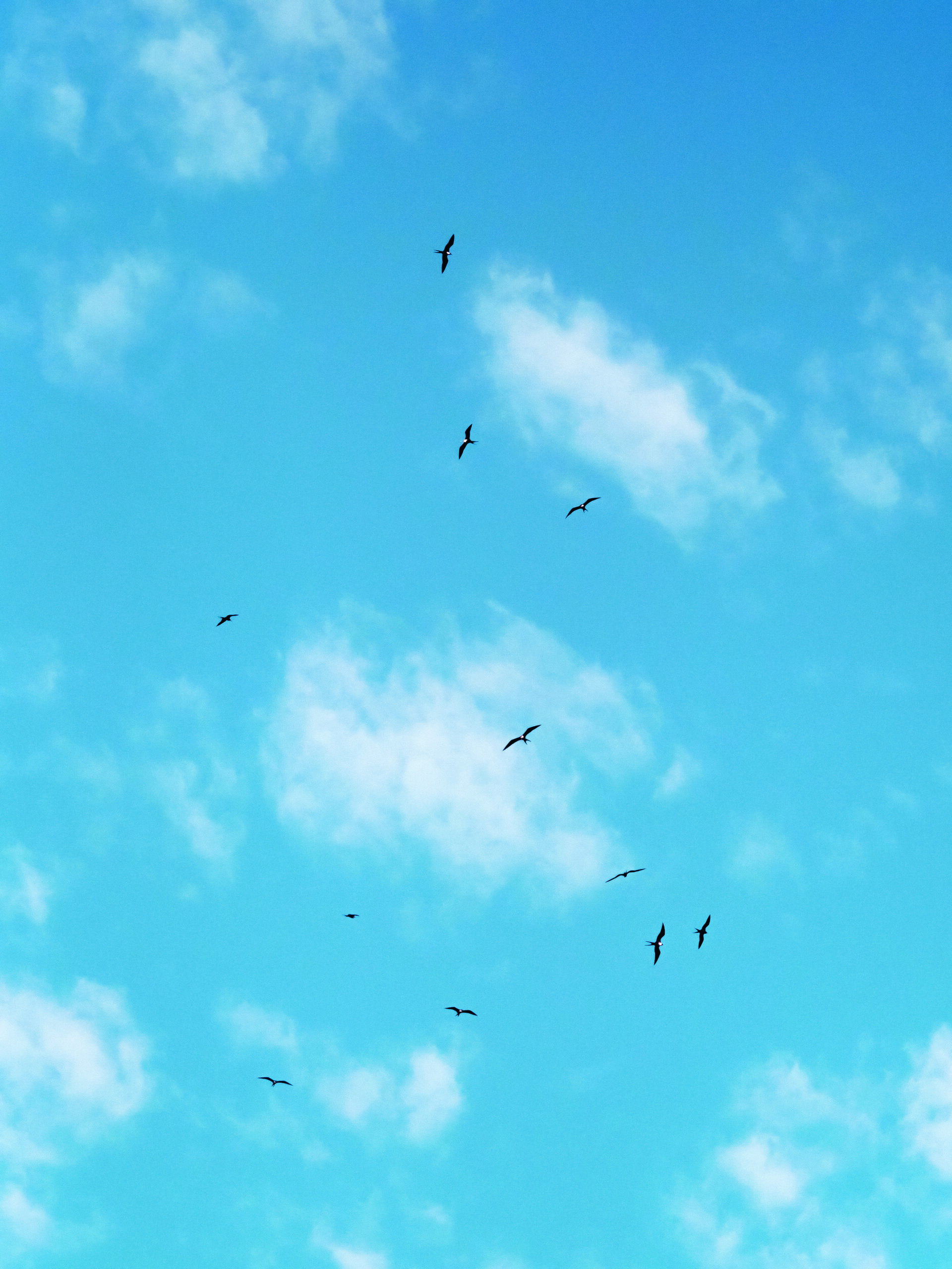 Himmel